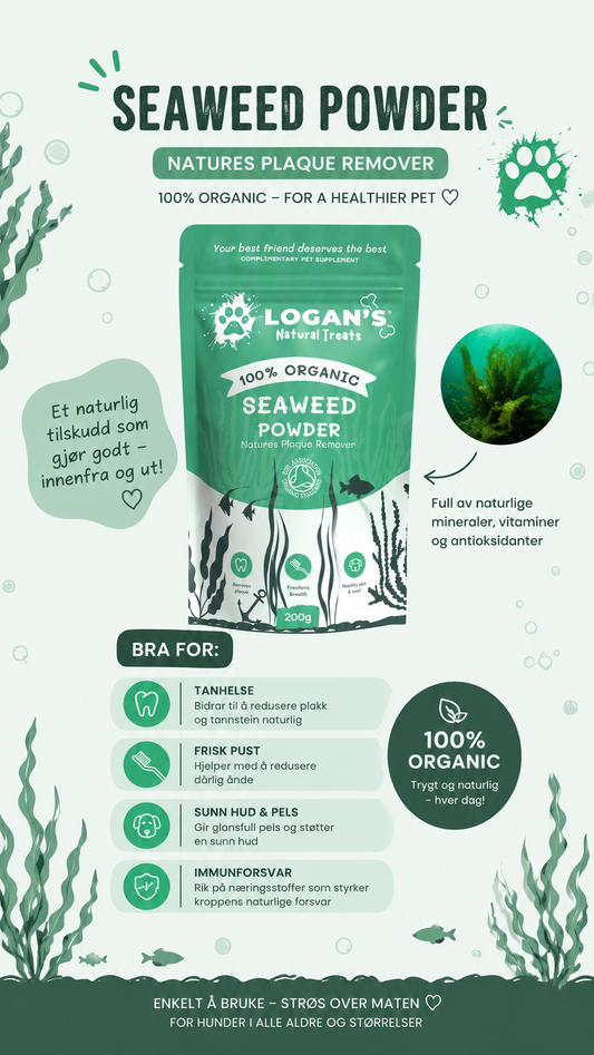Seaweed Powder 200g
