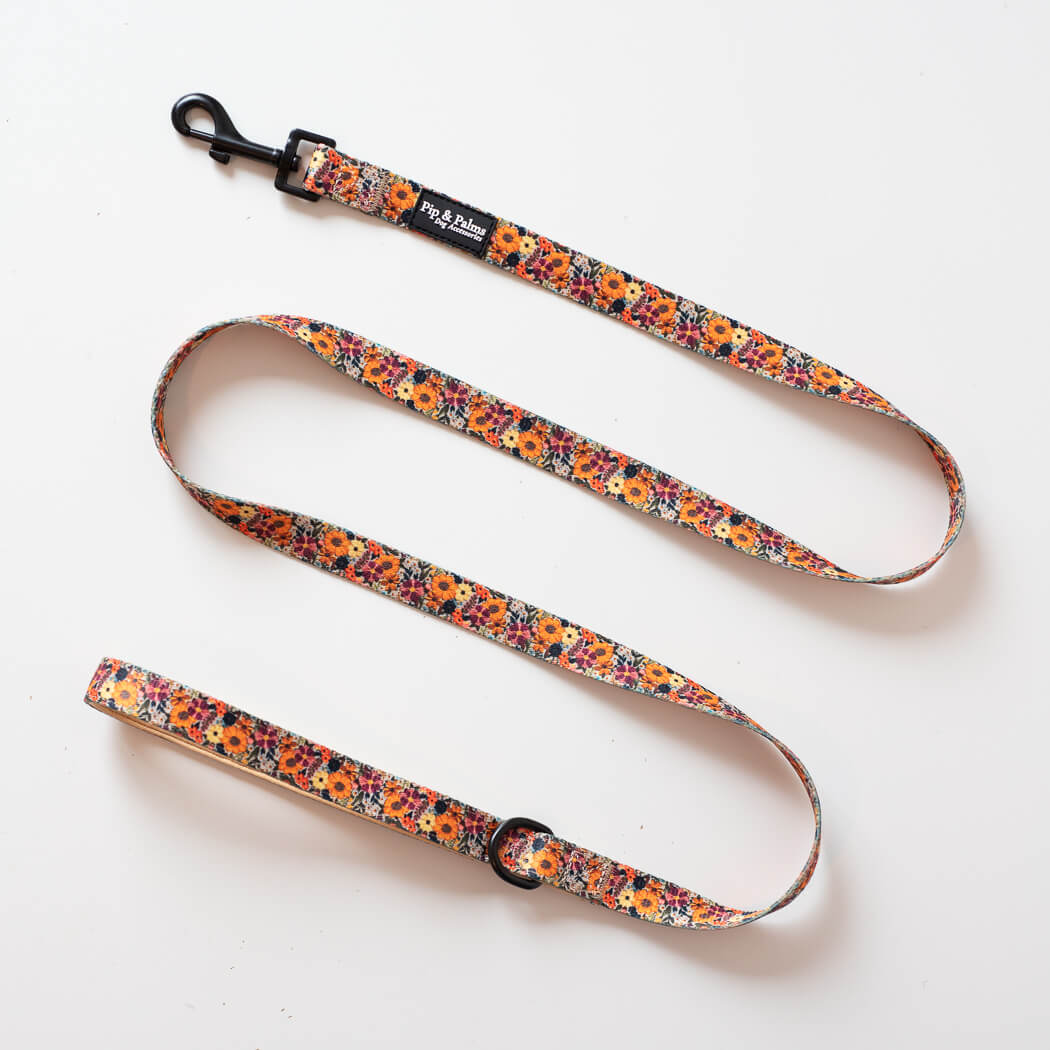 Early Summer kobbel 152 cm