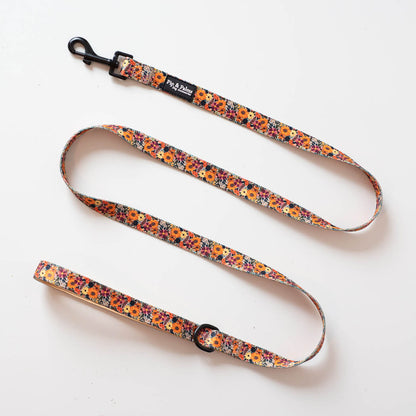 Early Summer kobbel 152 cm
