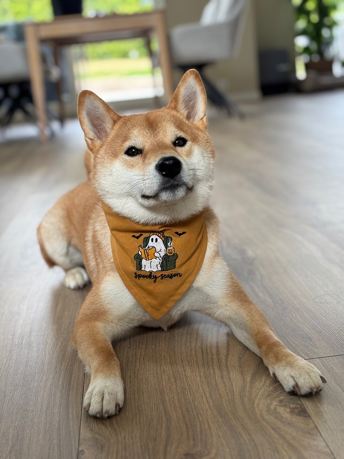 Halloween Spooky season