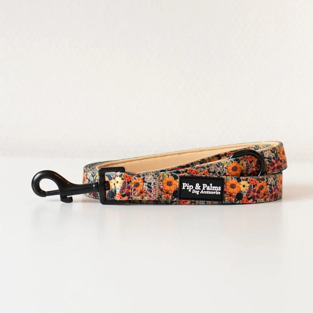 Early Summer kobbel 152 cm