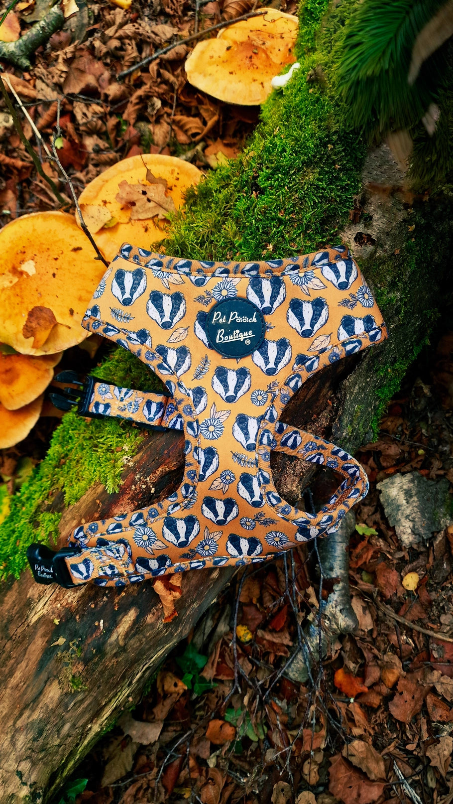 Woodland Badger