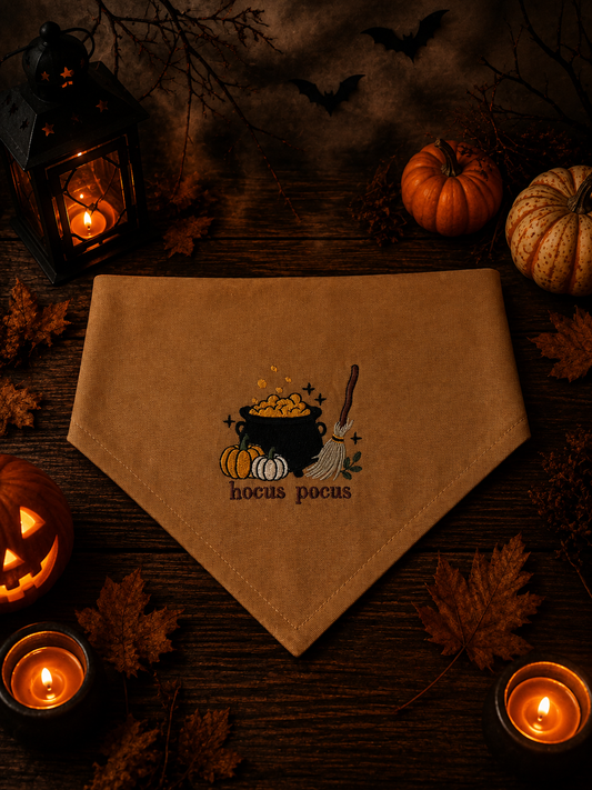 Halloween Hocus Pocus