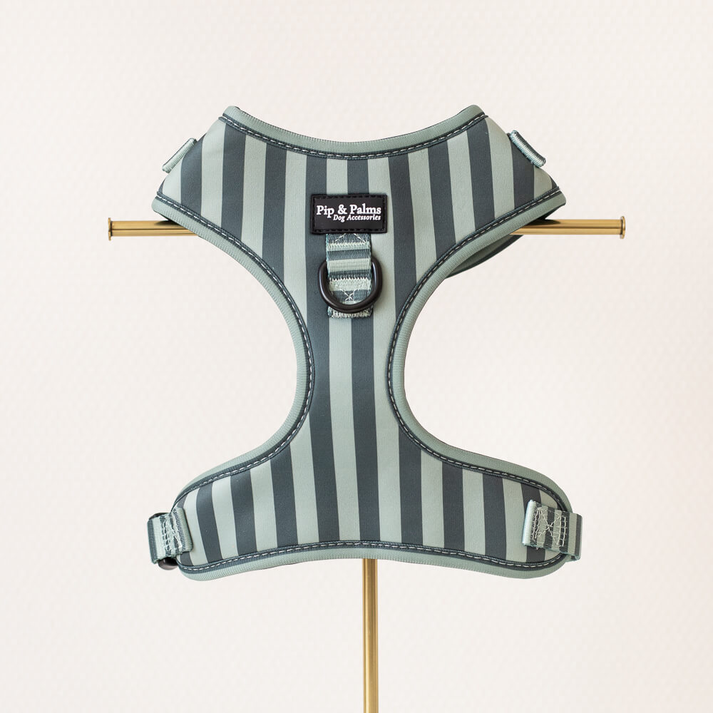 Stripy Stripes
