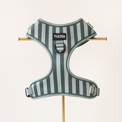 Stripy Stripes
