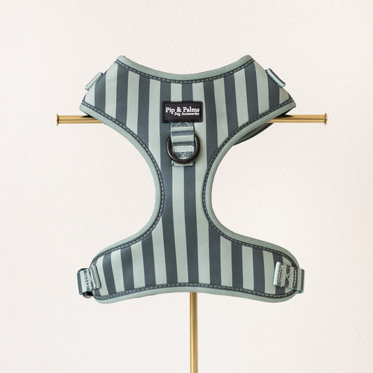 Stripy Stripes