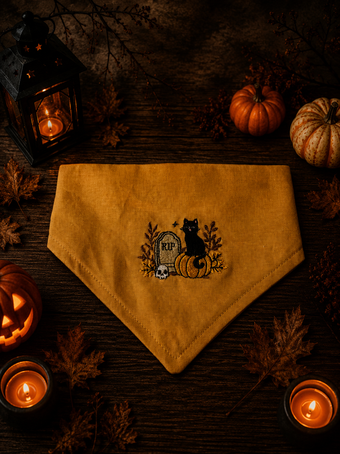 Halloween black cat
