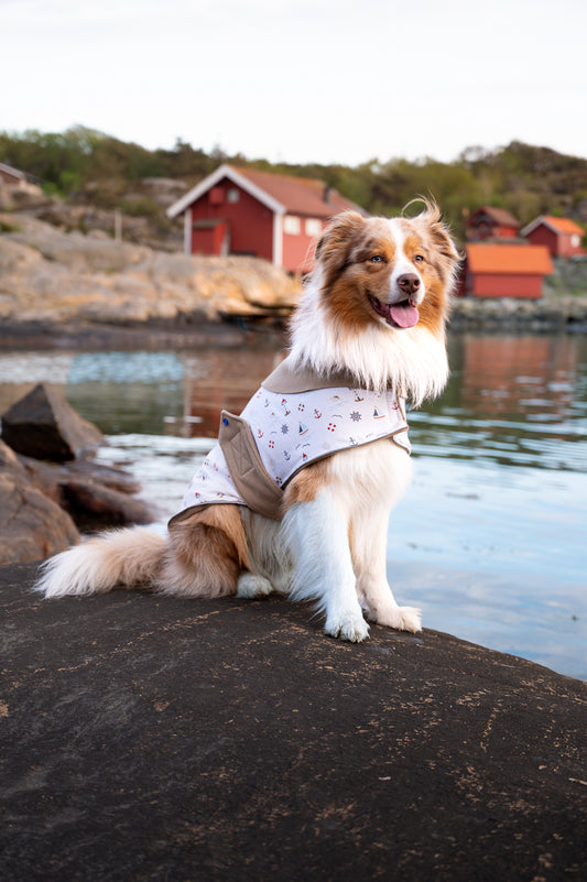 Vesterøy dekken