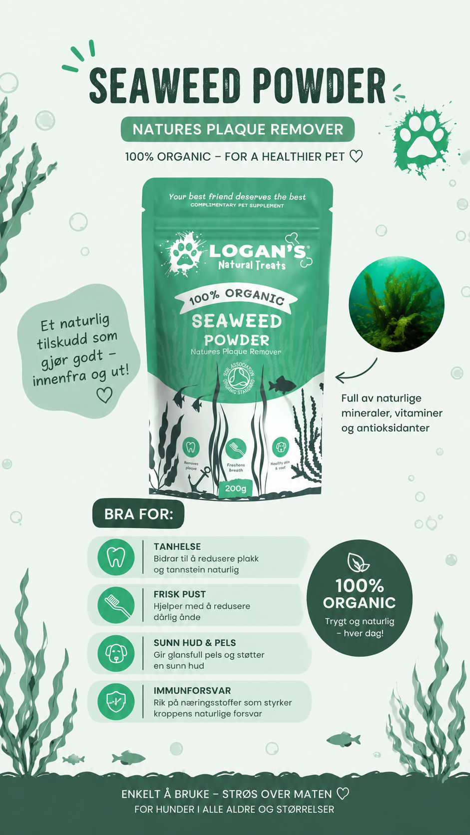 Seaweed Powder 200g