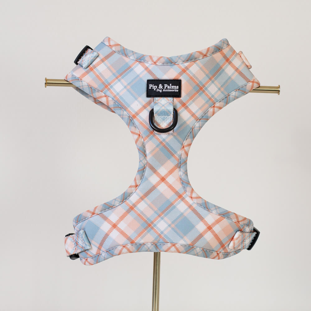 Pawsome Plaid