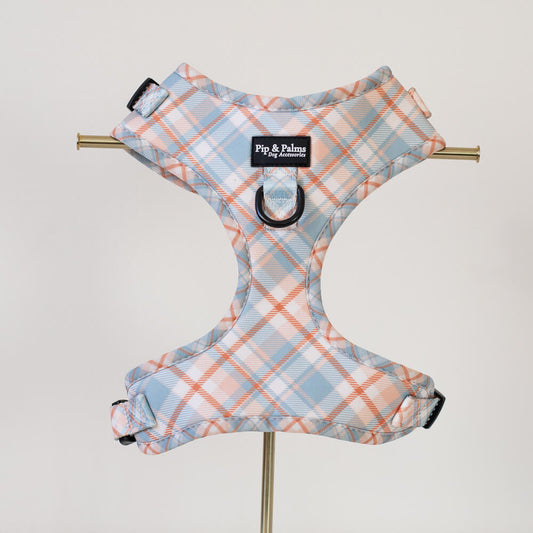 Pawsome Plaid