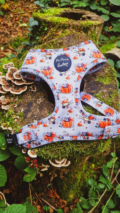 Little Pumpkin Bear Cub