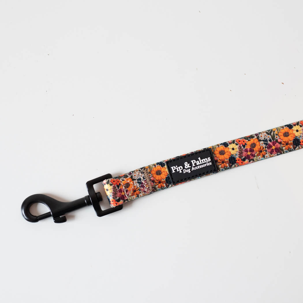 Early Summer kobbel 152 cm