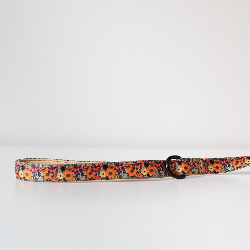 Early Summer kobbel 152 cm